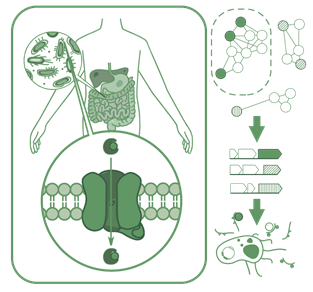 Scientific graphic