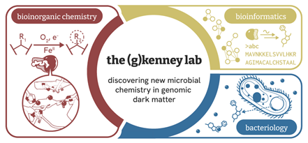 The (g)kenney lab banner