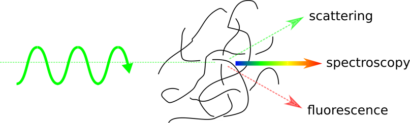 Scientific graphic