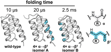 Scientific image