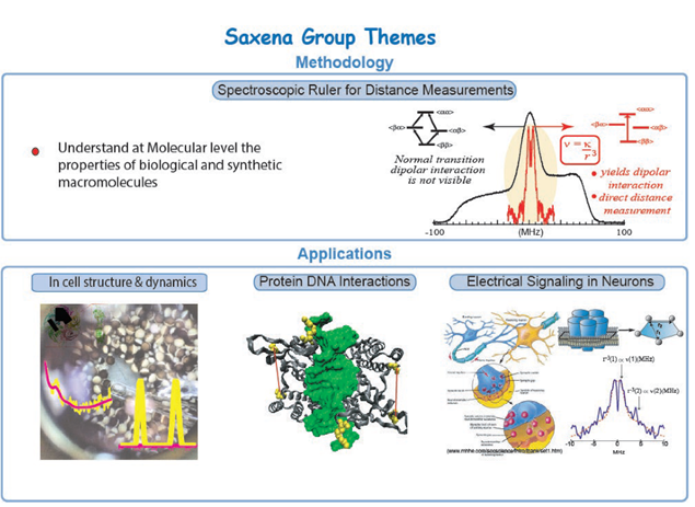 Scientific graphic of the Saxena Group themes