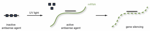 Scientific diagram
