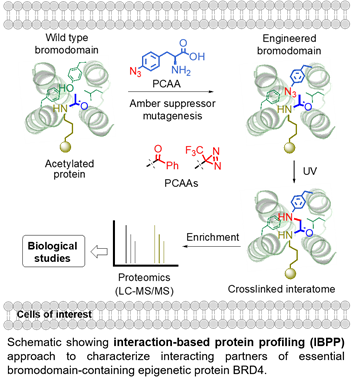 Scientific graphic