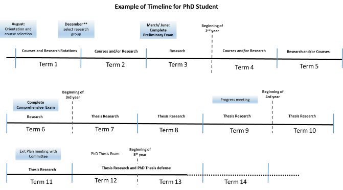 Example timeline for a PhD Student