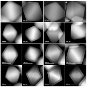 Scientific image