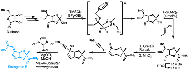 Scientific diagram