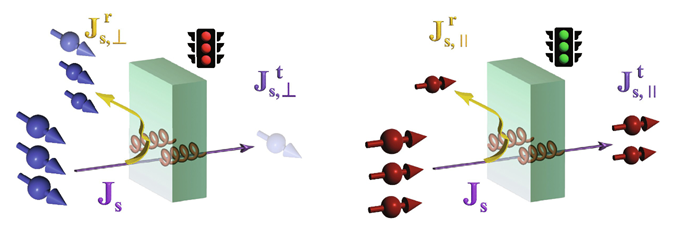 Scientific image