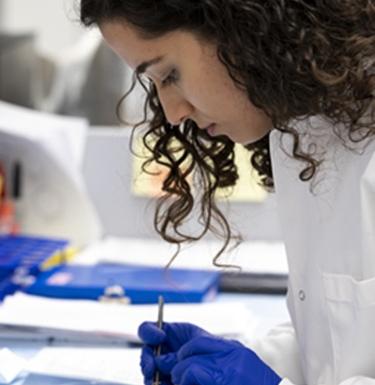 Scientist works with a petri dish