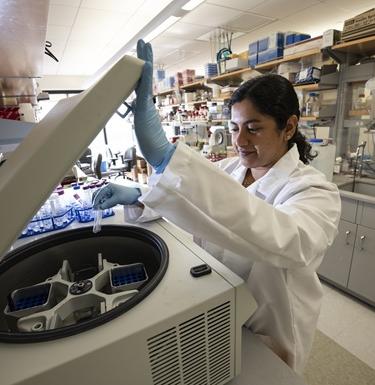 Scientist works in a lab