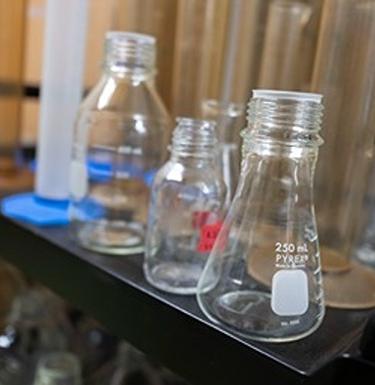 A variety of empty beakers in different sizes